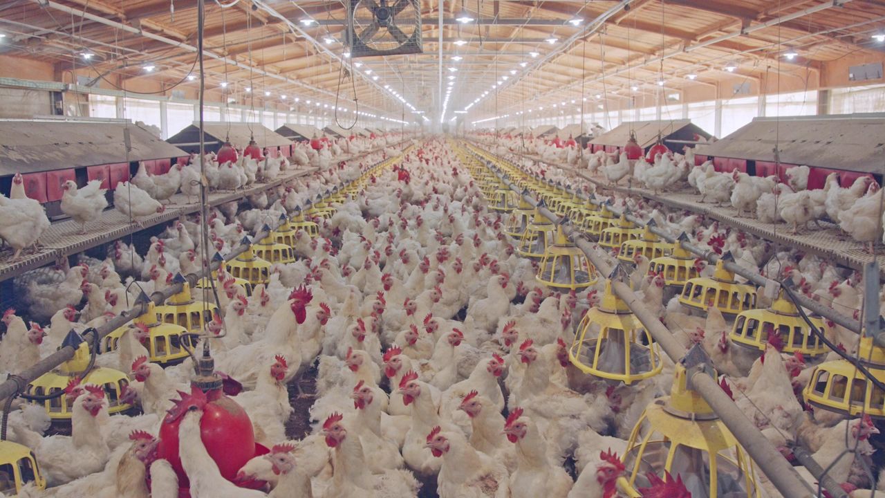 New study shows farm consolidation continuing