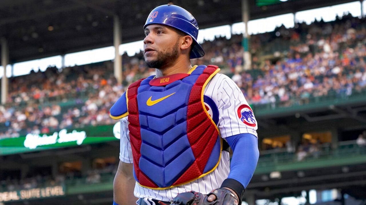 What happened to Willson Contreras? Cardinals catcher removed from