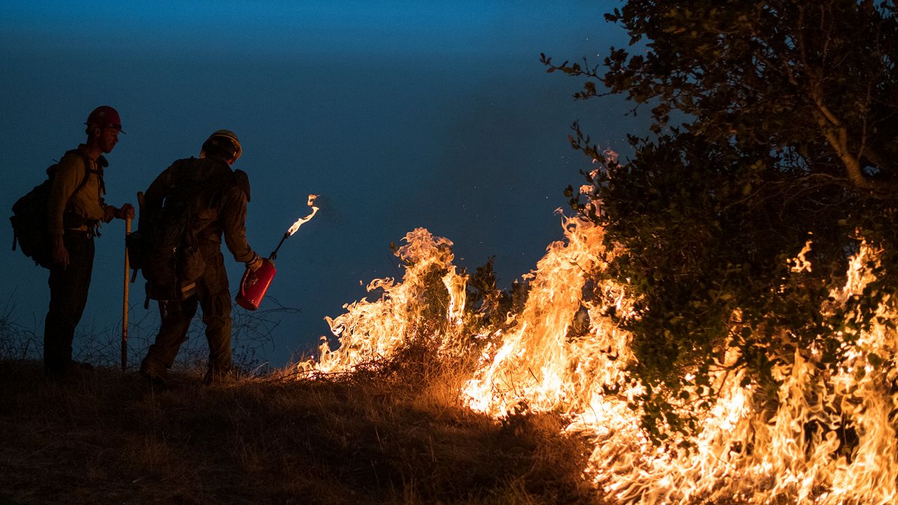 controlled burn