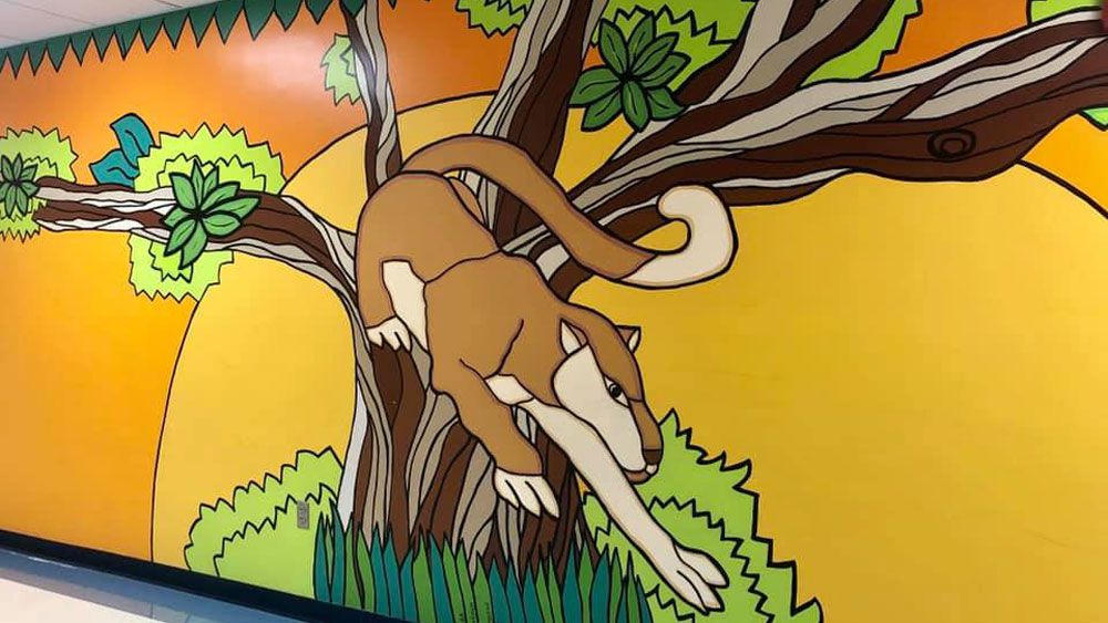 The Conway Elementary School cougar mural. (Sonia Santana, viewer)