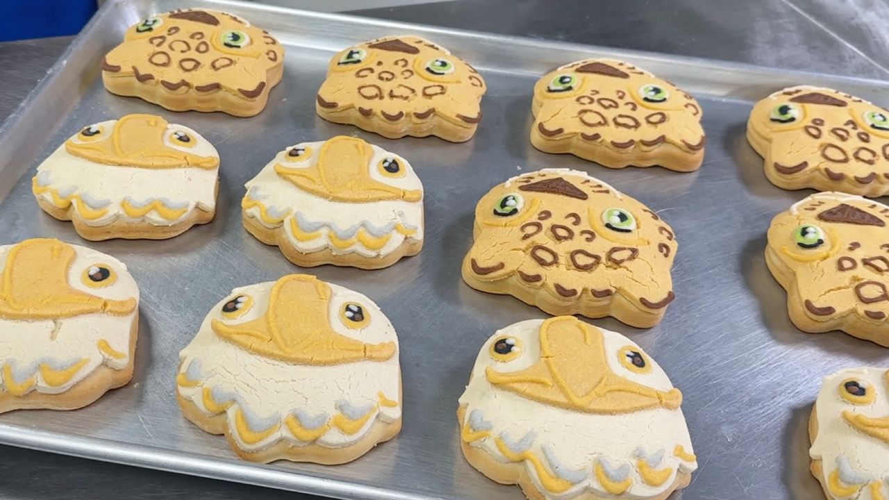 SoCal businesses give customers a taste of the World Cup