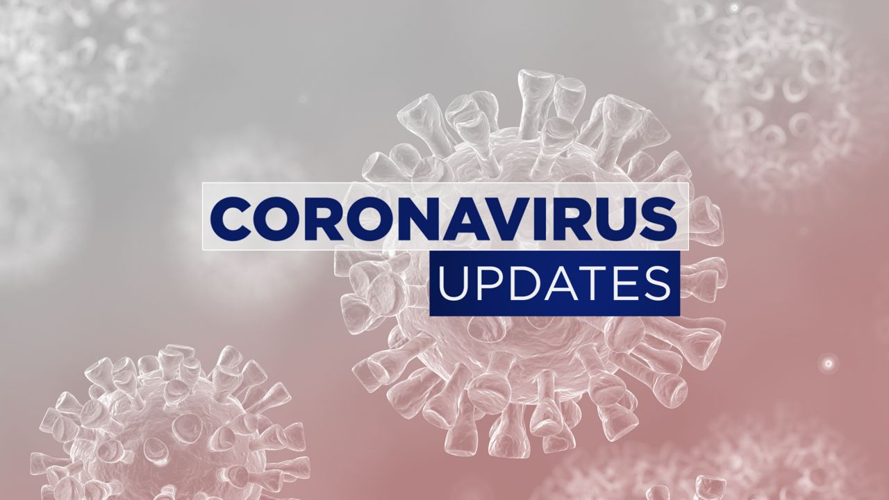 Photo shows coronavirus graphic and text that reads "Coronavirus Updates" (Spectrum News 1)