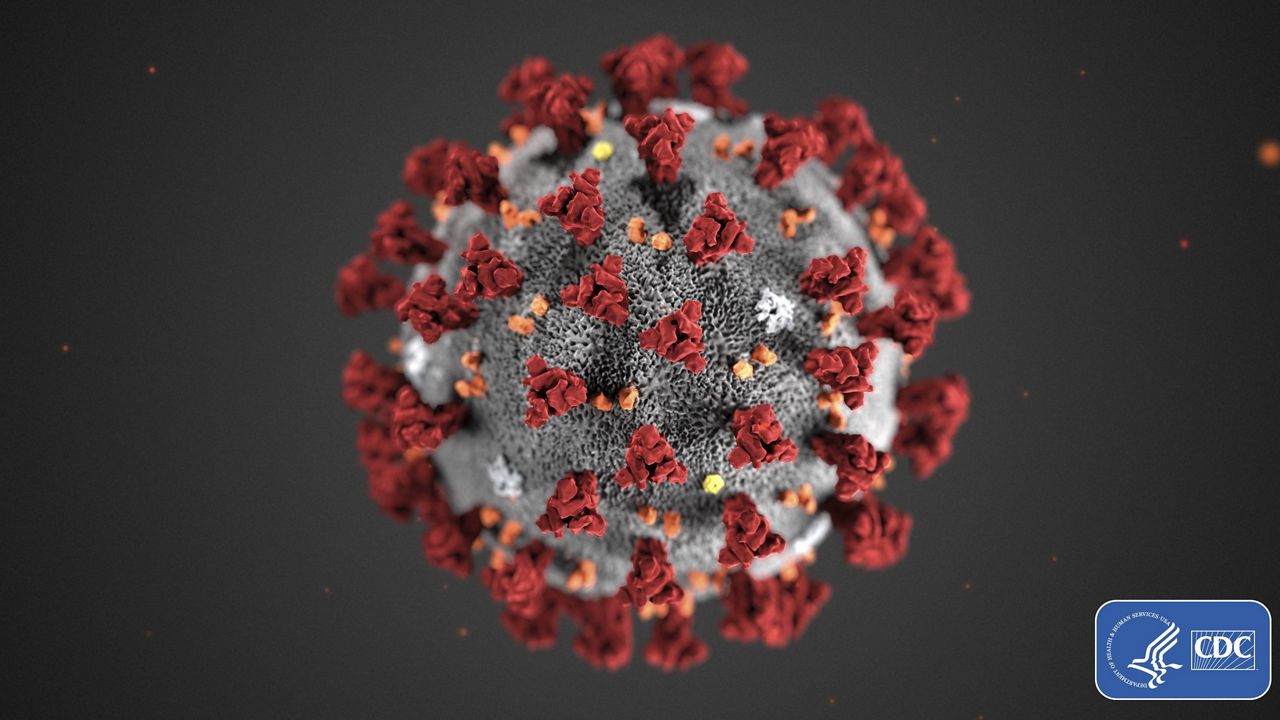 This illustration provided by the Centers for Disease Control and Prevention (CDC) shows the 2019 novel coronavirus. (CDC via AP, File)