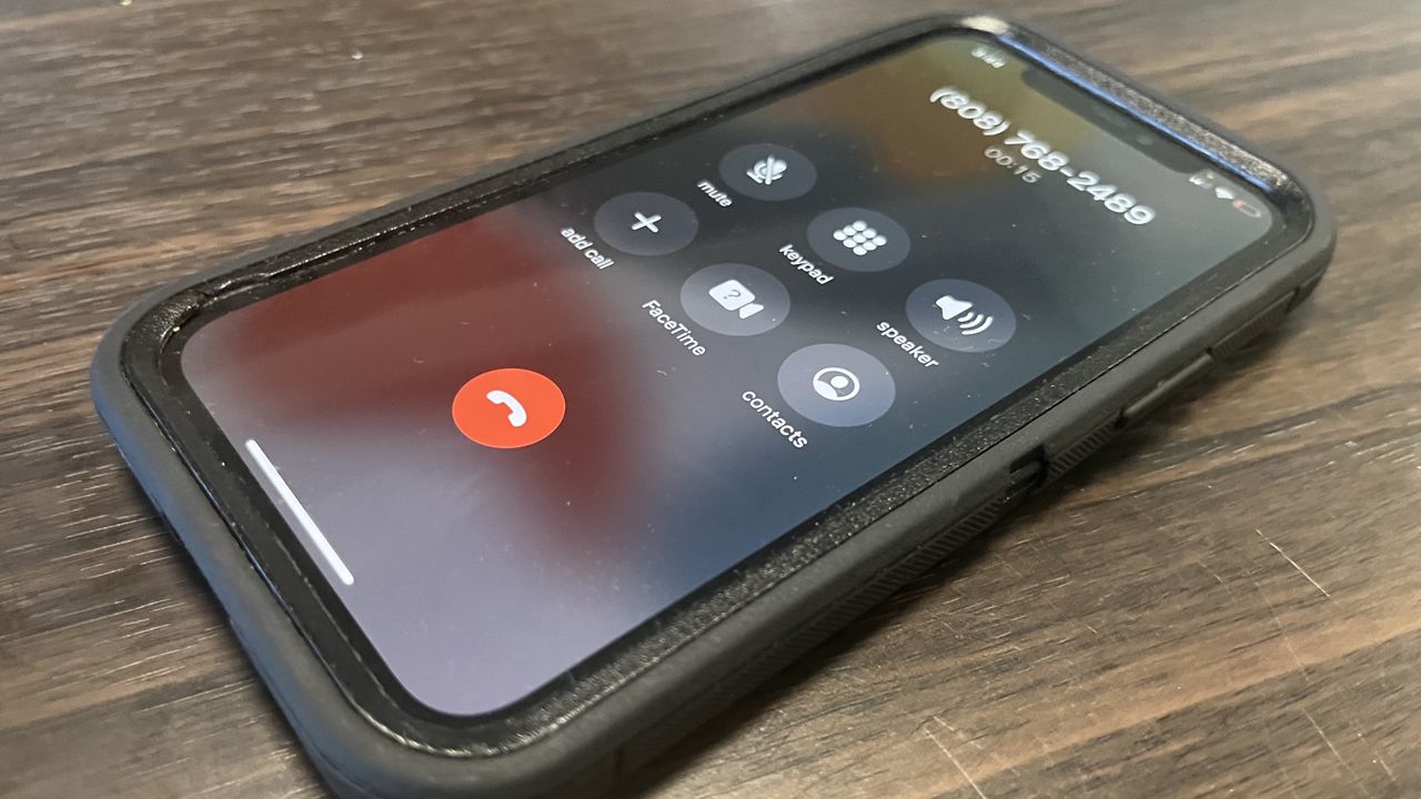 The city's COVID-19 hotline will cease operation on April 14. (Spectrum News)