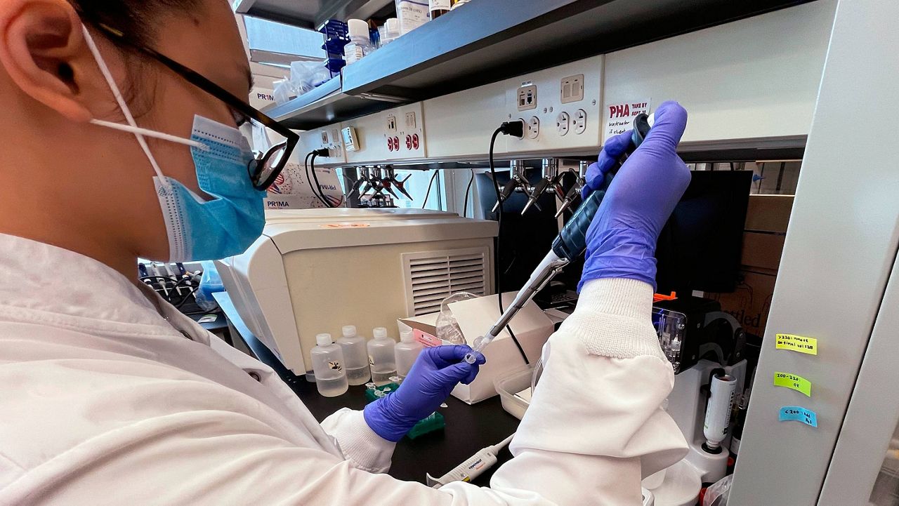 Emily Lu, a student in the environment science graduate program at Ohio State, tries Wednesday to extract RNA from wastewater samples to test for fragments of the coronavirus at a school lab in Columbus, Ohio. (AP Photo/Patrick Orsagos)
