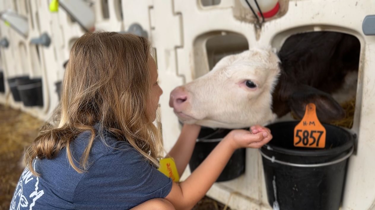 Cow Camp in West Bend.