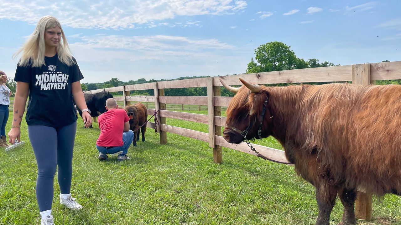 Visitors at TC Highlands Farm. (Spectrum News 1/Mason Brighton)