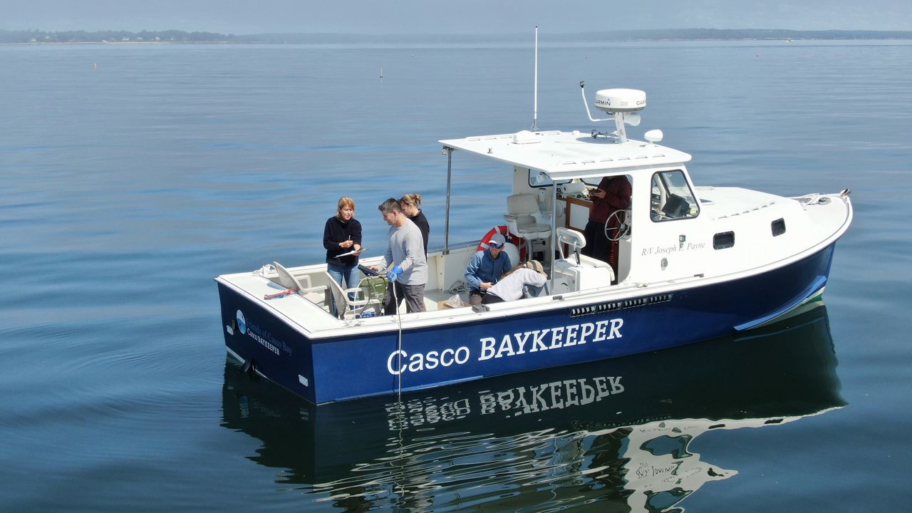 Groups find PFAS in Maine's Casco Bay