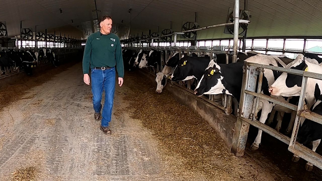 Waterloo dairy operates as carbonnegative farm
