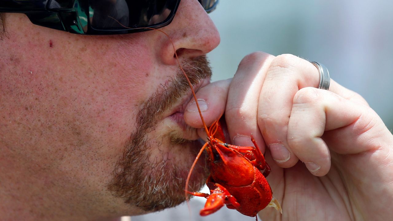 Celebrate National Crawfish Day in the Dallas-Fort Worth area