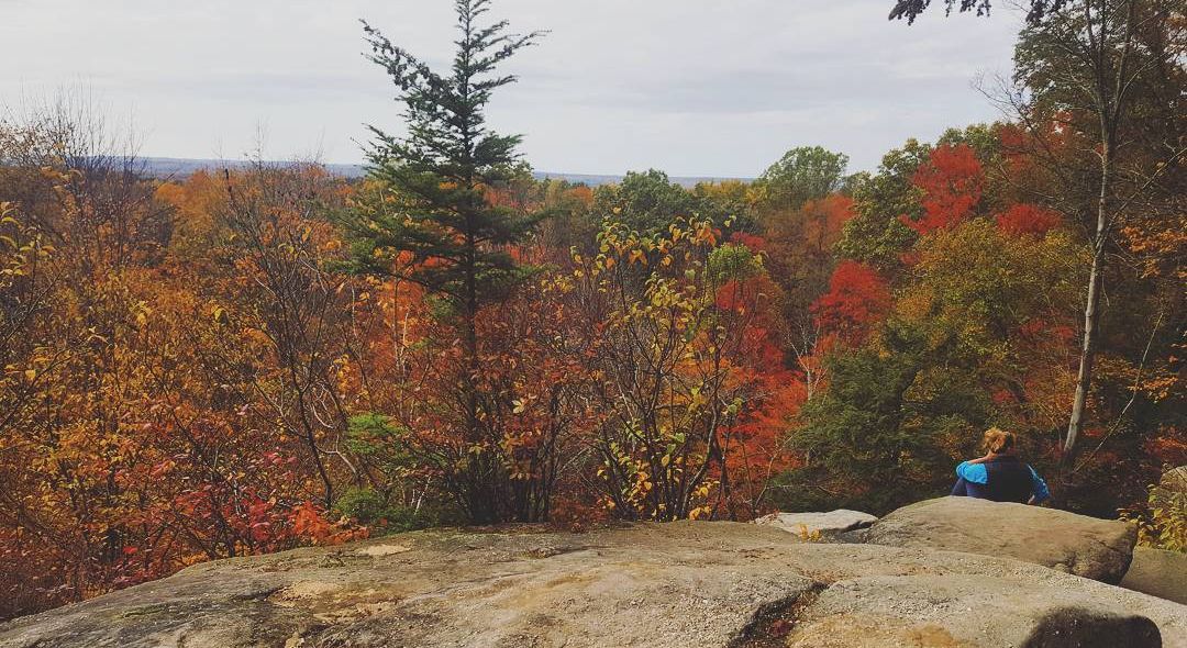 Fall colors pop at the Ledges Overlook in Cuyahoga Valley National Park. (Spectrum News 1/Lydia Taylor)