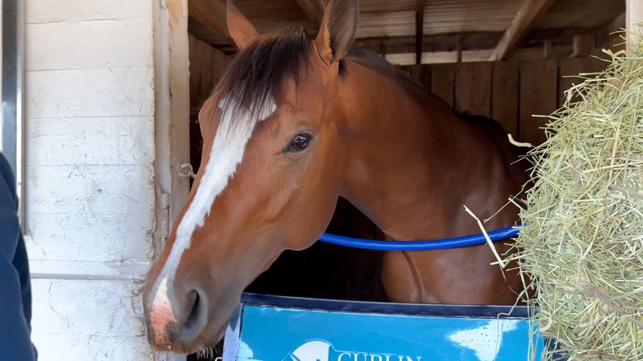 Trainer Dale Romans essentially grew up at Churchill Downs