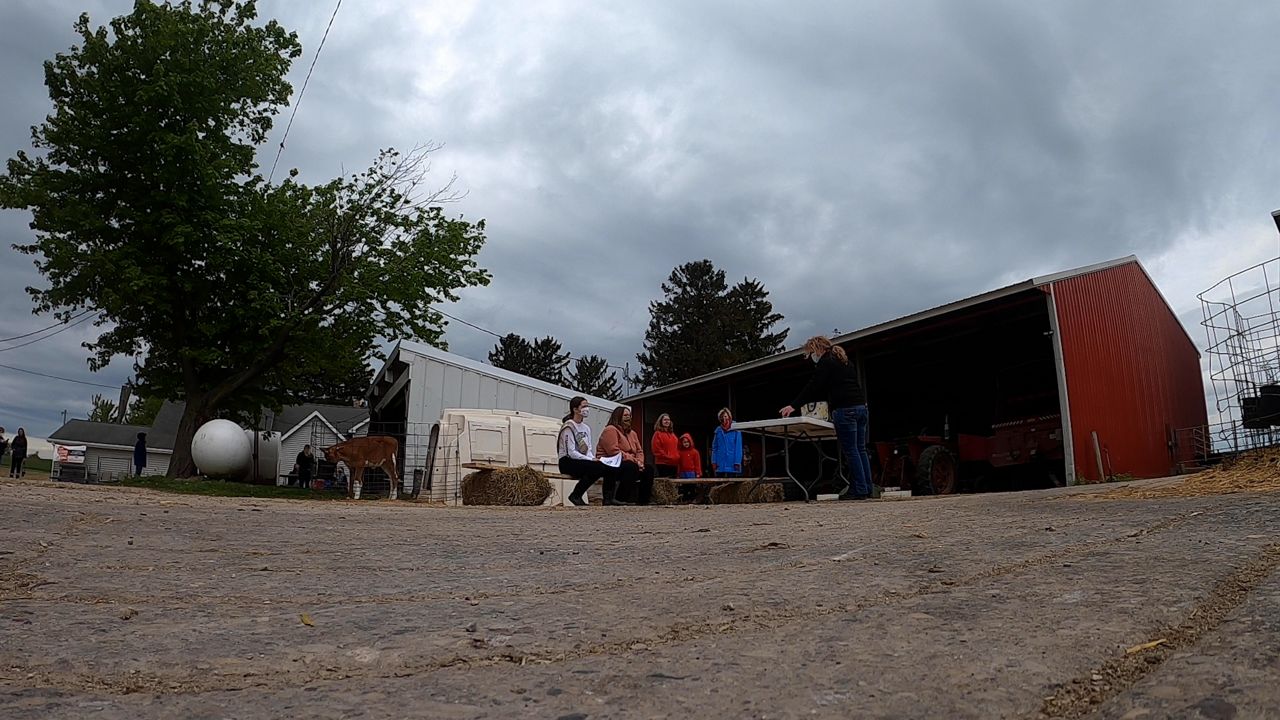 Wisconsin Girl Scouts earn state's first dairy badge