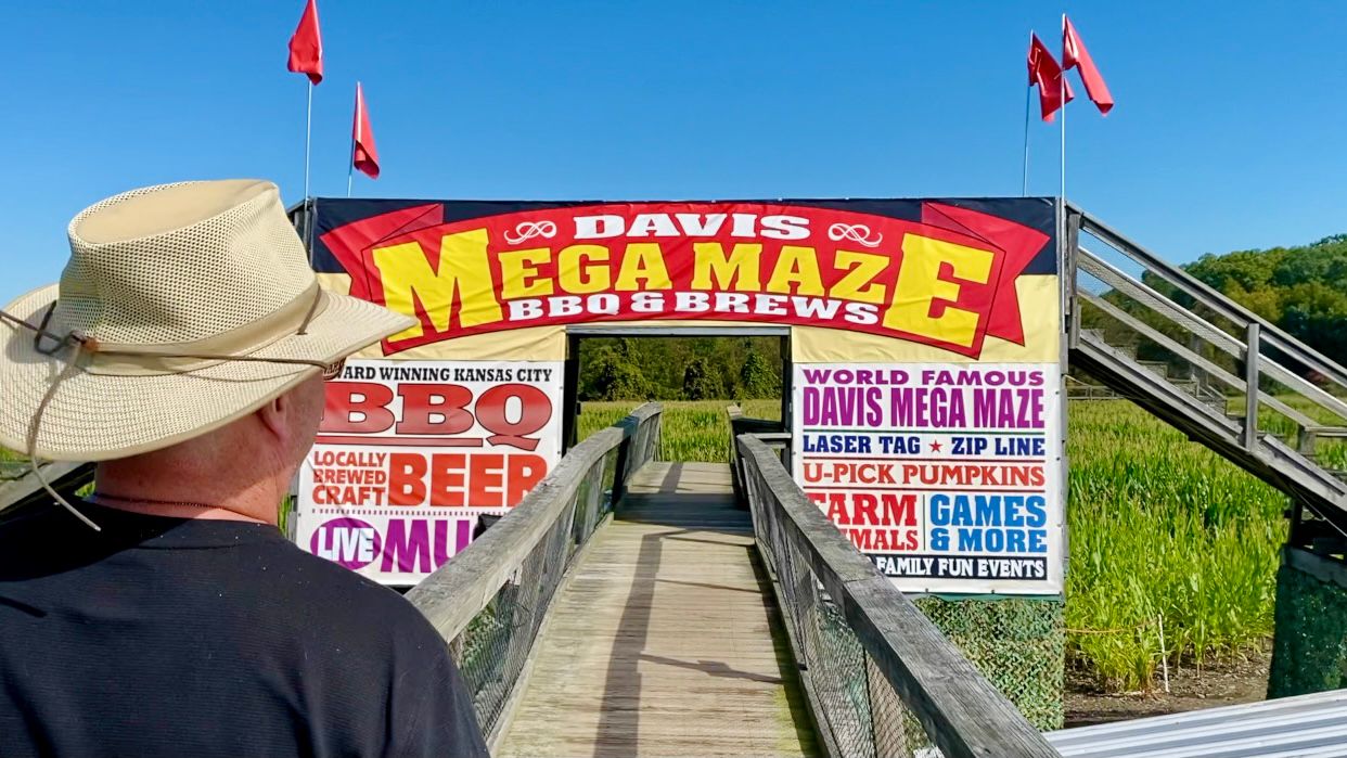 Davis Mega Maze makes it to 23rd season