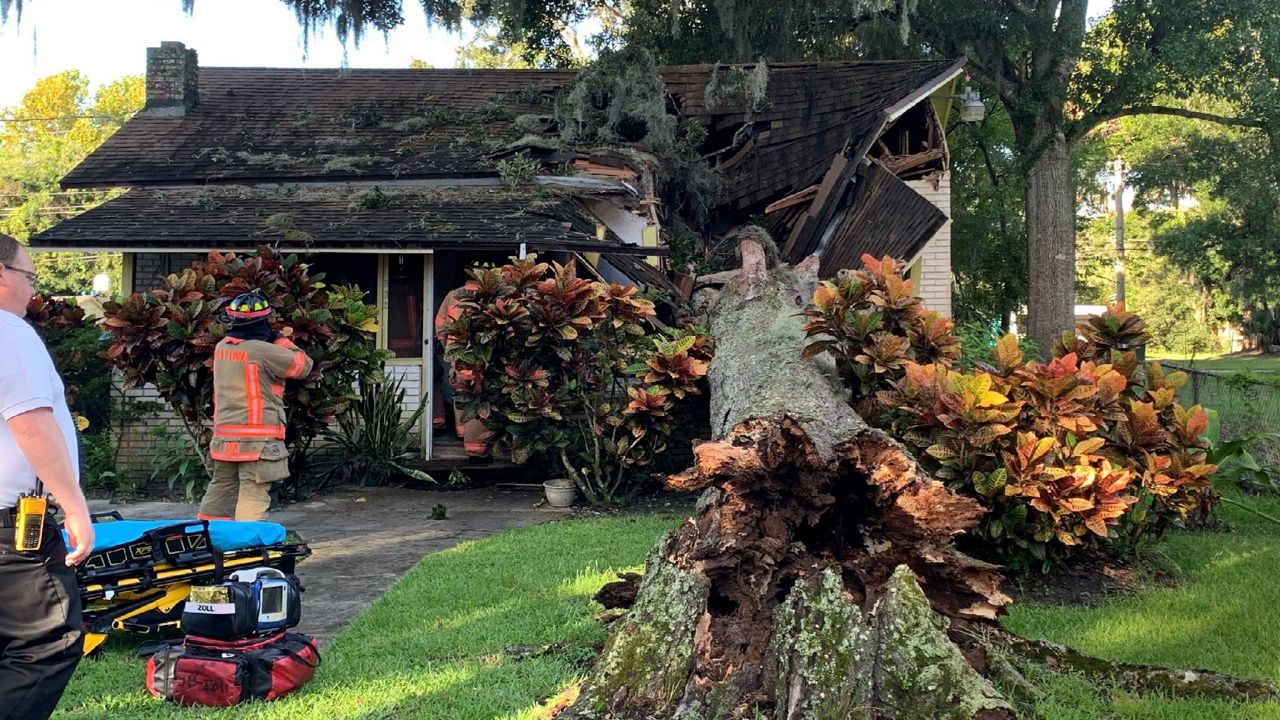 Daytona Beach Fire Department responded to a call when a large oak tree fell and destroyed a local home, barely missing an 89-year-old woman. (Photo: Daytona Beach Fire Department) 