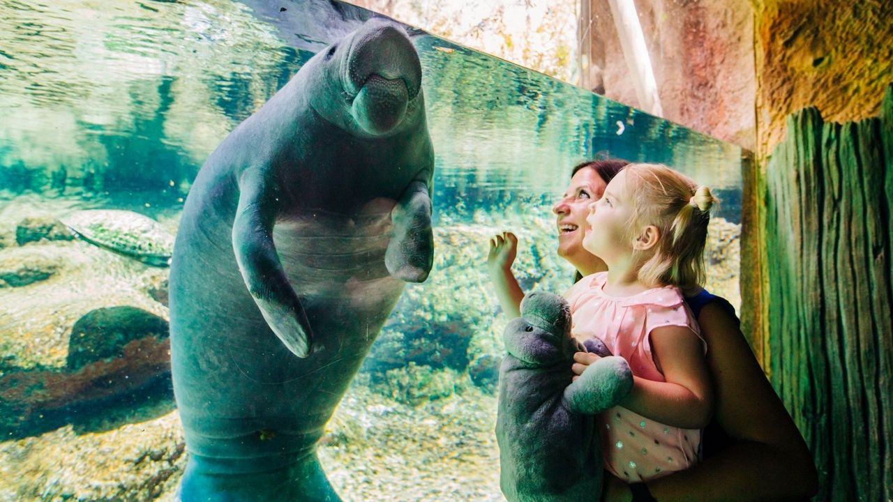 Spring is the perfect season for a trip to ZooTampa. (Image courtesy of ZooTampa)
