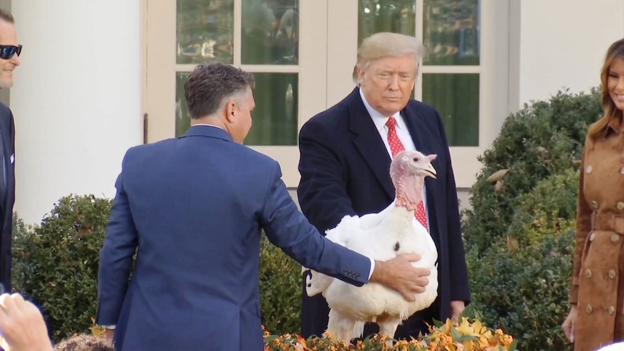 President Trump with Turkey