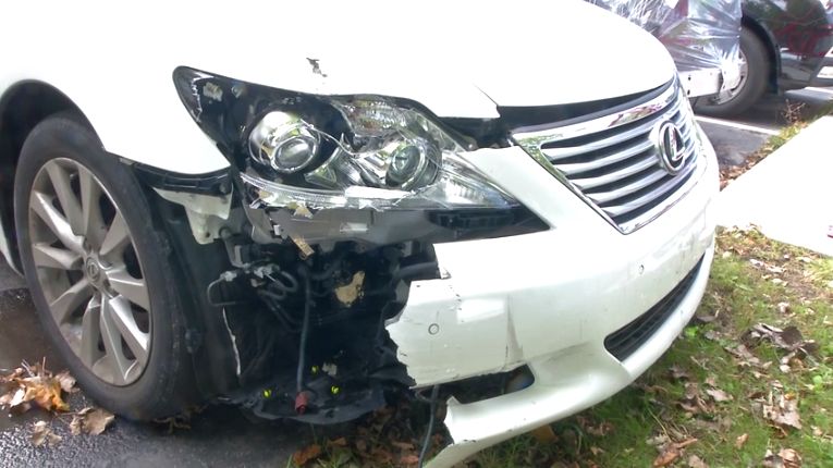 Deer-vehicle crashes on the rise in Fall