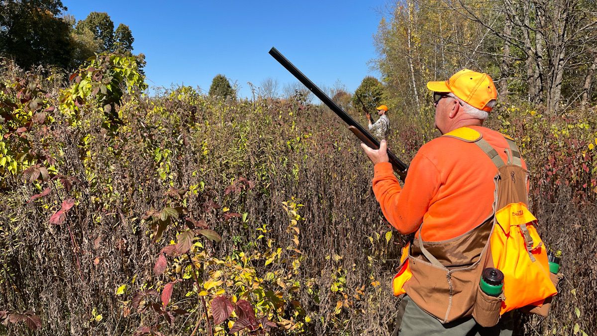 Deer, turkey and pheasant hunting season begins in Massachusetts