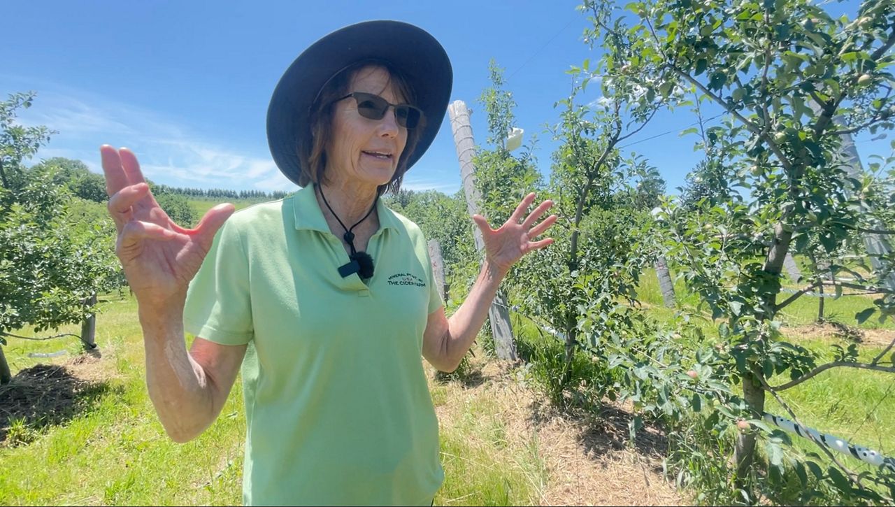 Wisconsin apple orchard thrives thanks to honeybees - Vimarsana News