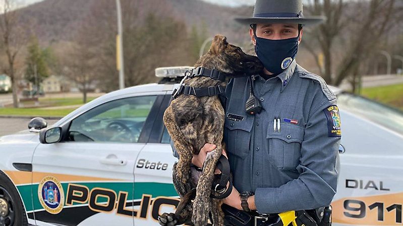 SUNY Delhi K9 Officer