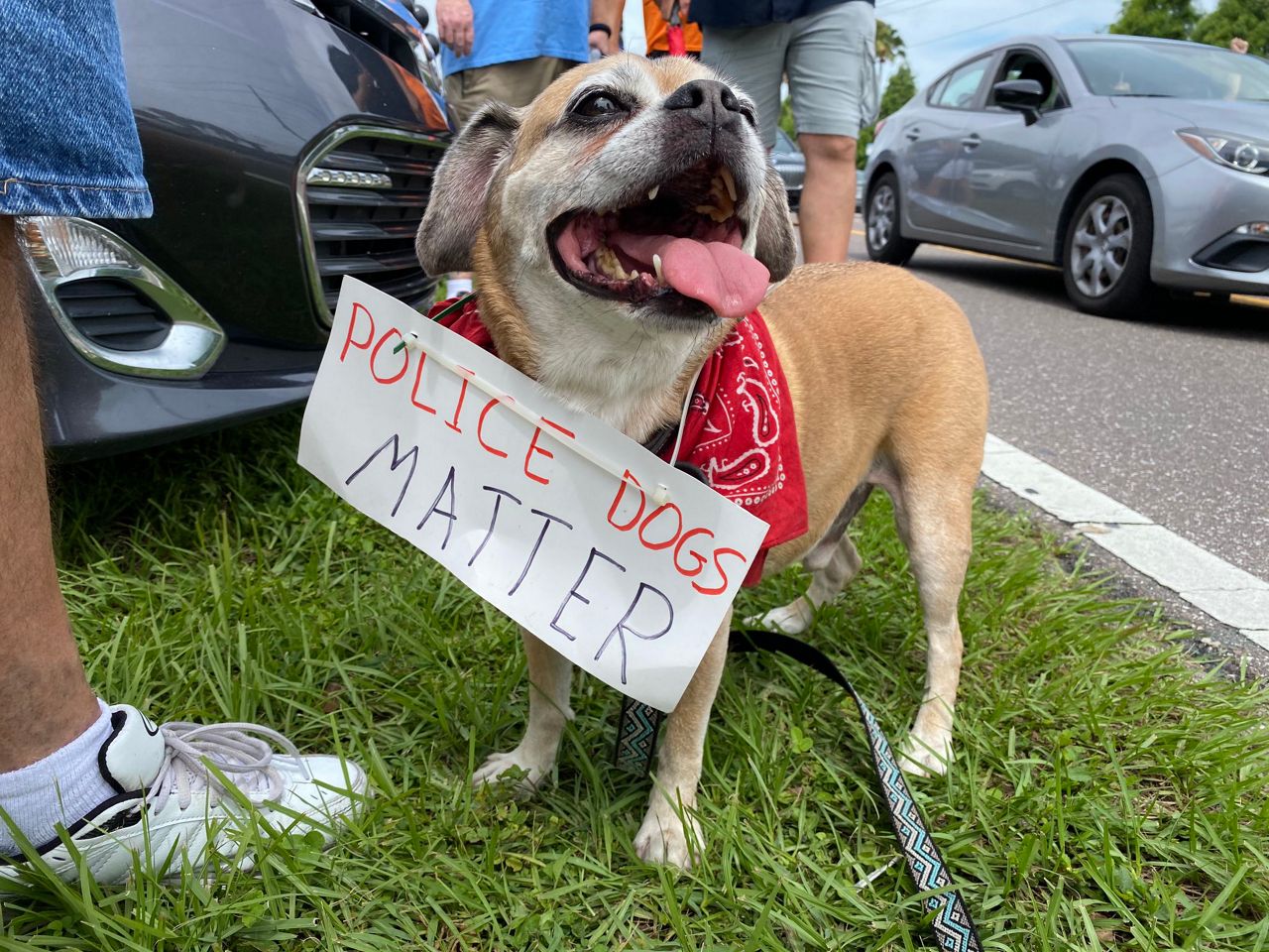 "Back the Blue" rally in Tampa, Saturday, June 13, 2020. (Ashley Paul/Spectrum Bay News 9)