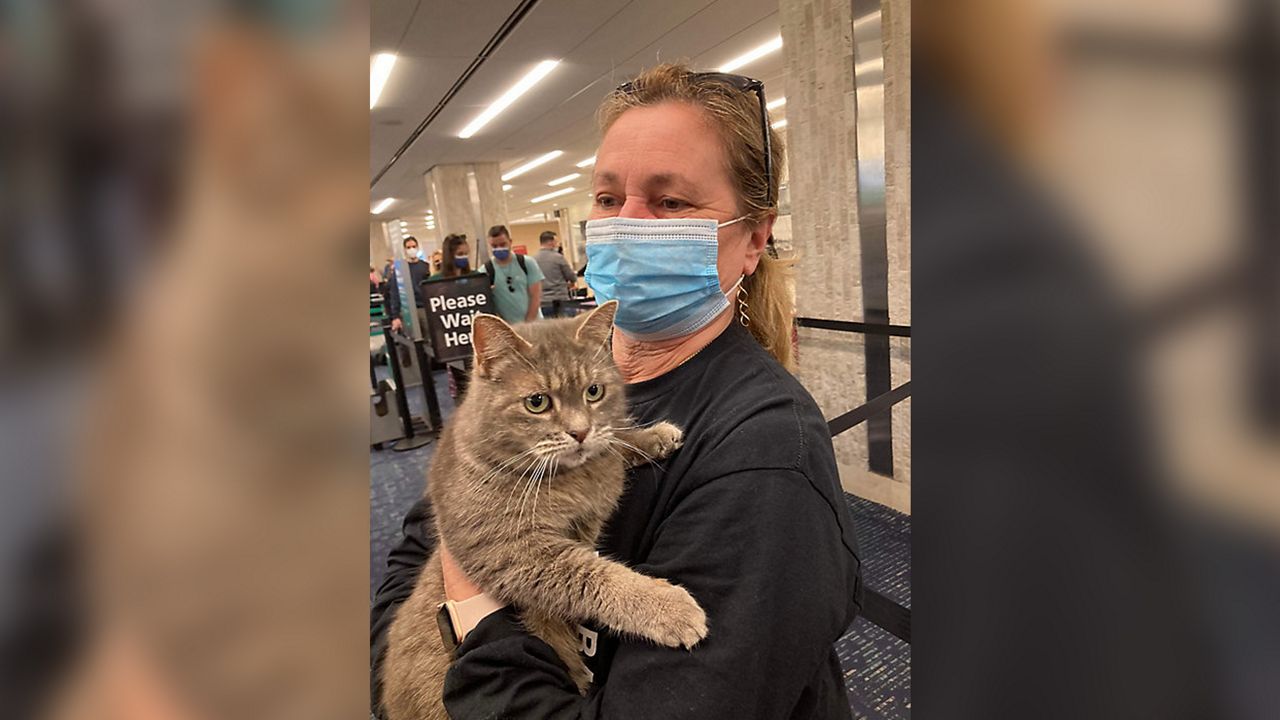 Maine cat found in Central Florida reunites with owners