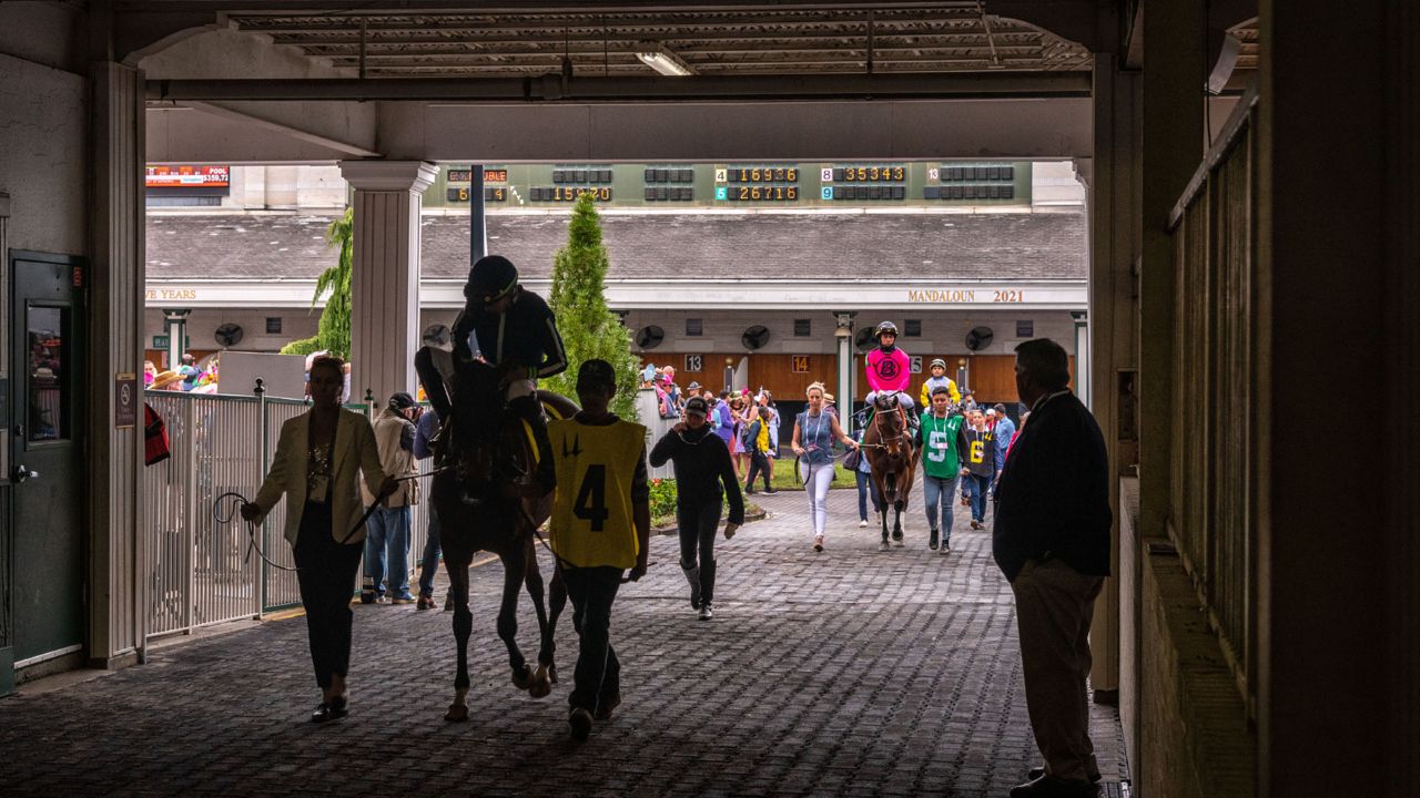 horses leave the paddock toward the track at churchill downs