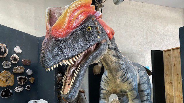 Museum Showcases Dinosaurs That Once Roamed Texas - Vimarsana News