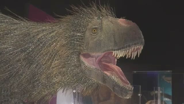 dinosaurs among us