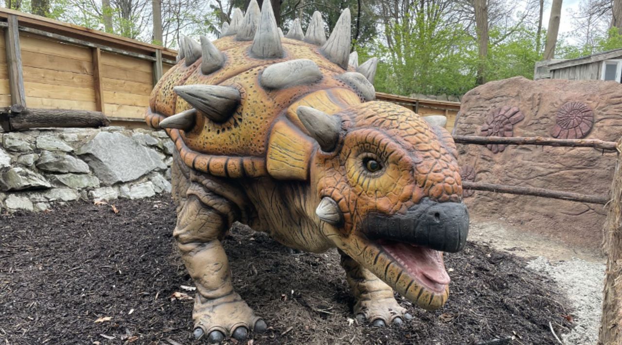 The exhibit has a variety of dinosaur species, including euoplocephalus, a life-size triceratops, 12-foot-tall tyrannosaurus rex, giant stork-like quetzalcoatlus, 18-foot-tall brachiosaurus, nest of duck-billed parasaurolophus babies and more.