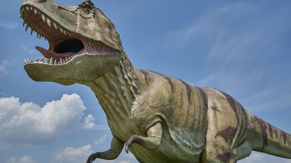 Dinosaurs in reconstructions are often shown with tongues wildly waving — a feature that is incorrect, according to new research conducted by The University of Texas at Austin and the Chinese Academy of Sciences.