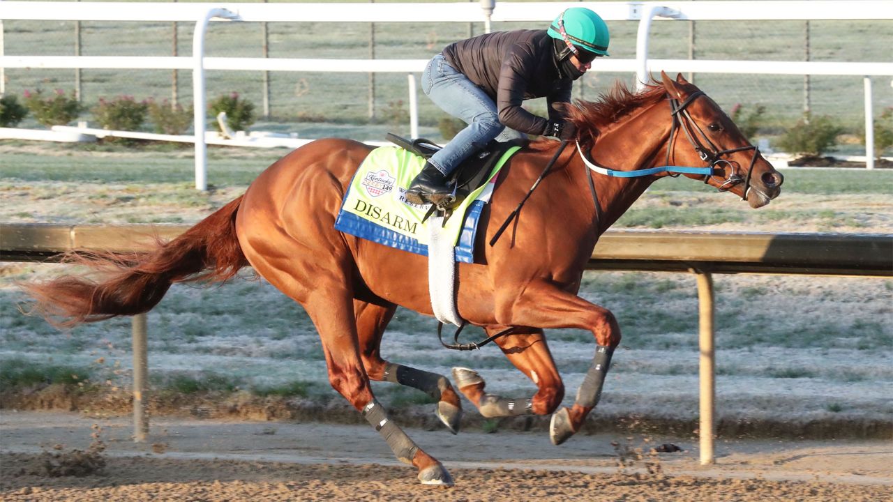 Steve Asmussen Derby Horses 2024 - Lusa Sissie