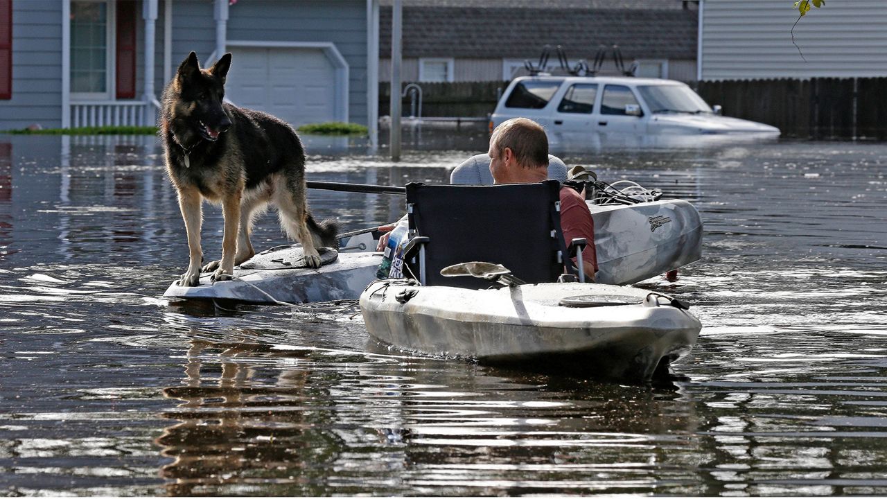A man tries to get his dog out of a flooded neighborhood in Lumberton, N.C., Monday, Sept. 17, 2018, in the aftermath of Hurricane Florence. (AP Photo/Gerry Broome, File)