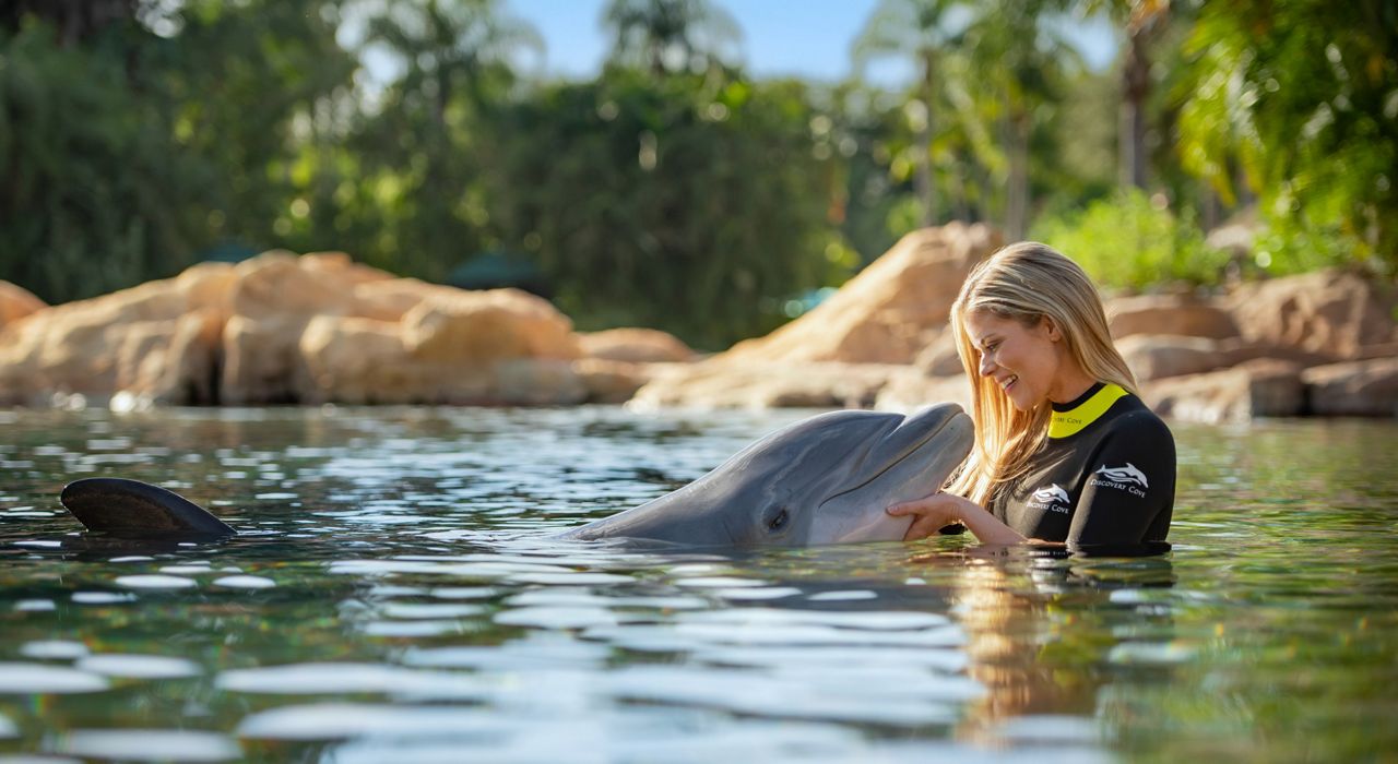 Swimming with dolphins is one of the experiences that visitors can enjoy at Discovery Cove. (Photo courtesy of Discovery Cove)