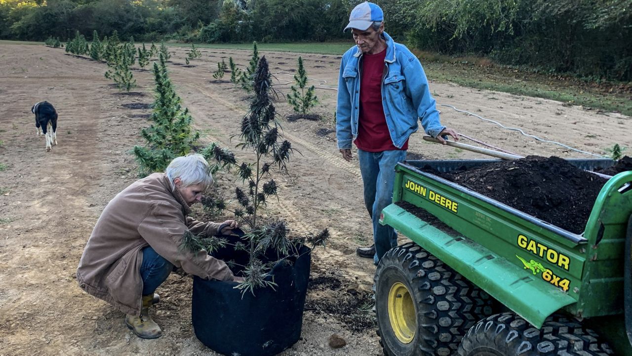 The Eastern Band of Cherokee Indians voted to legalize possession of up to an ounce of marijuana for medicinal purposes. 