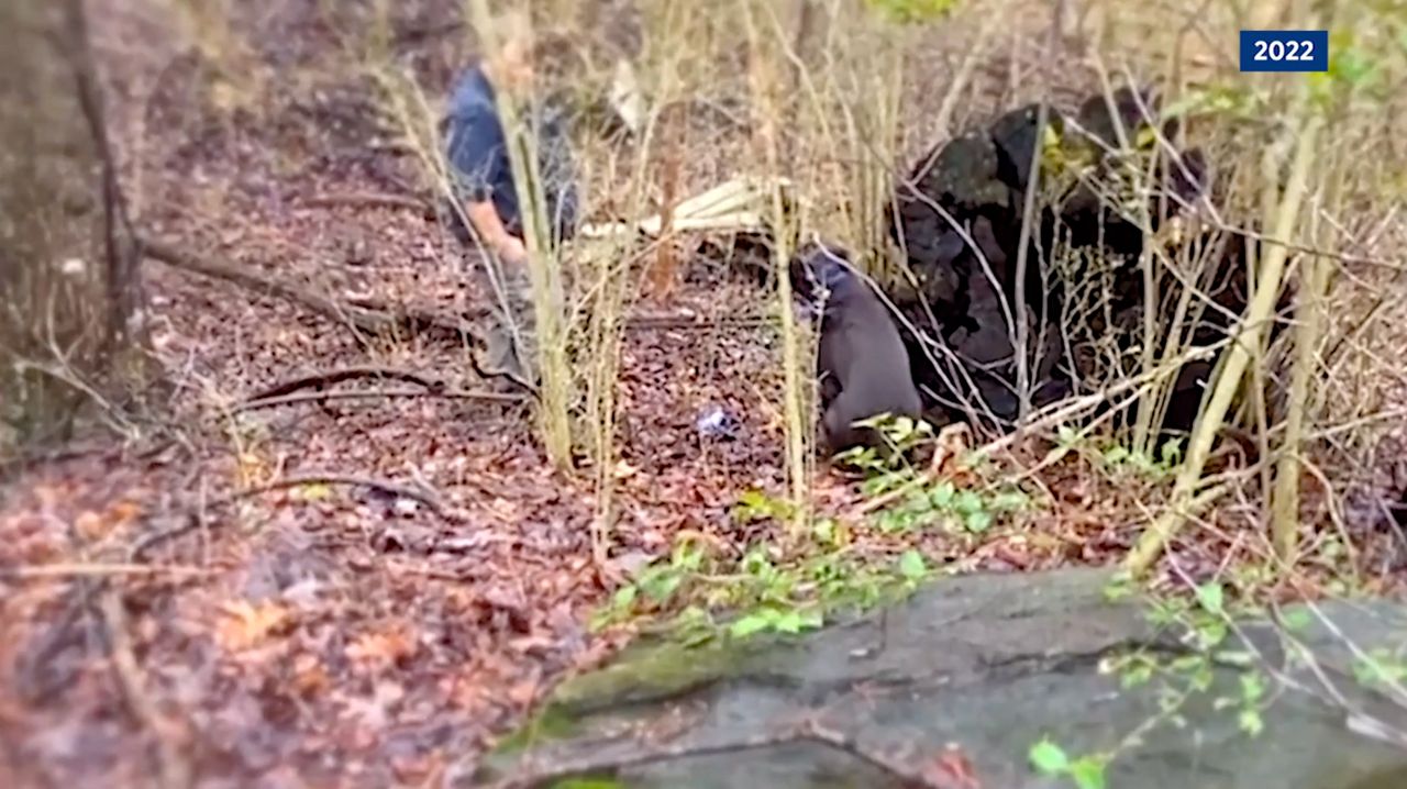 Abby sitting after locating grave site