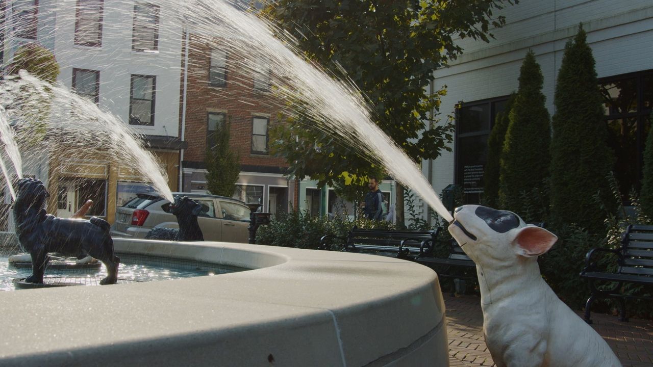 Fountain shop of dogs