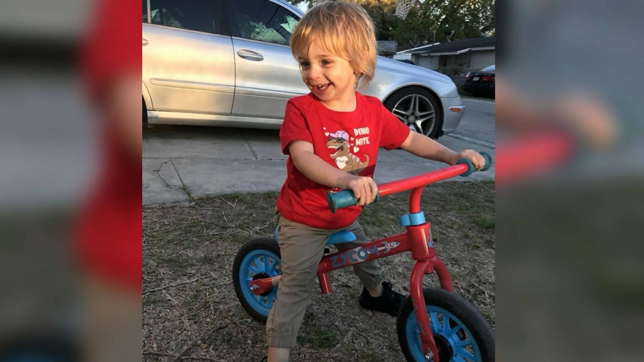 Community asked for support after Hudson boy attacked by dog