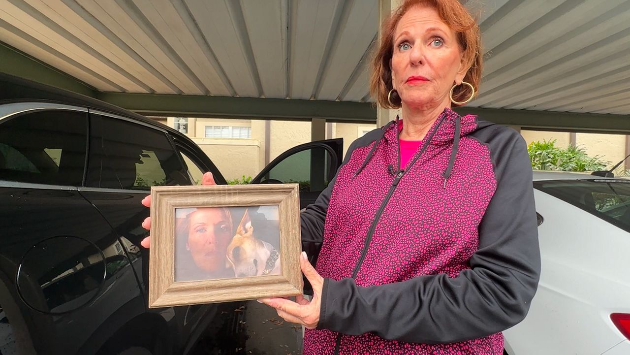 Nancy Cerniglia holds a picture of her late Jack Russell Terrier Loosey two years after she was killed during a dog attack. (Spectrum News/Brandon Spencer)