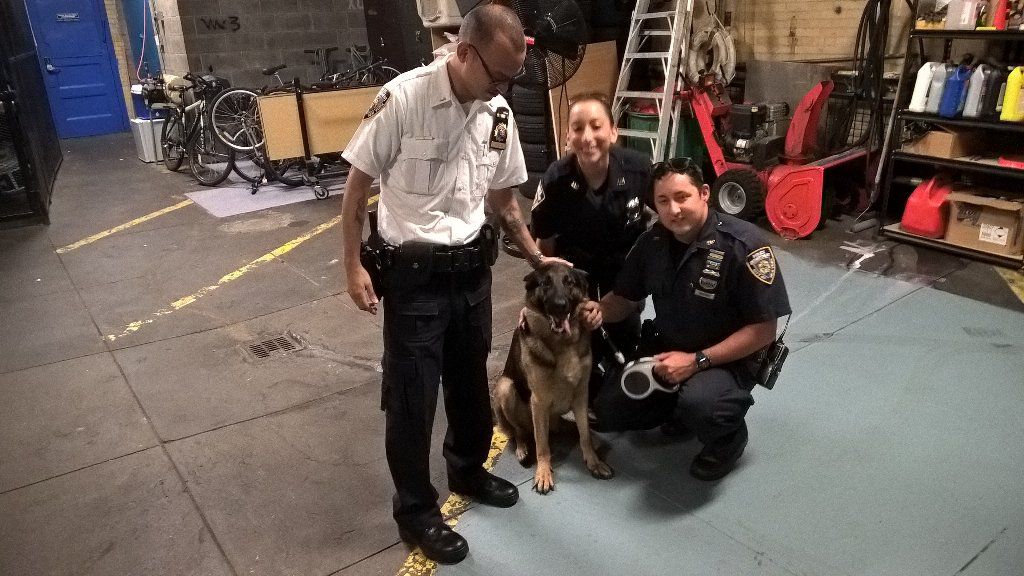 NYPD Officers Rescue Dog from Hot Car in Elmhurst