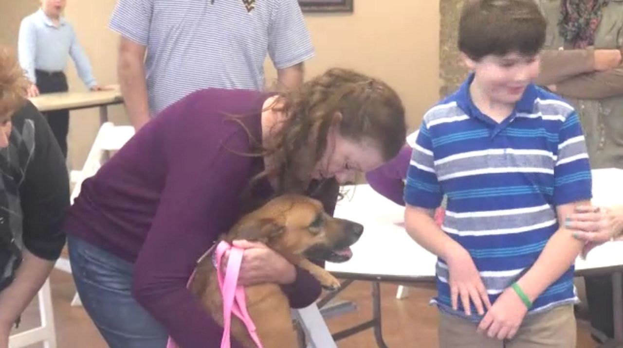 Lost dog reunited with family after accident