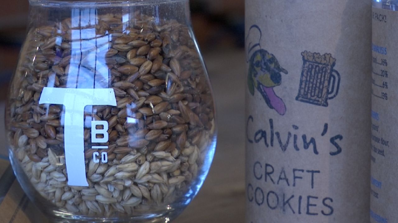 Charlotte Company Recycles Brewery Grains for Dog Treats