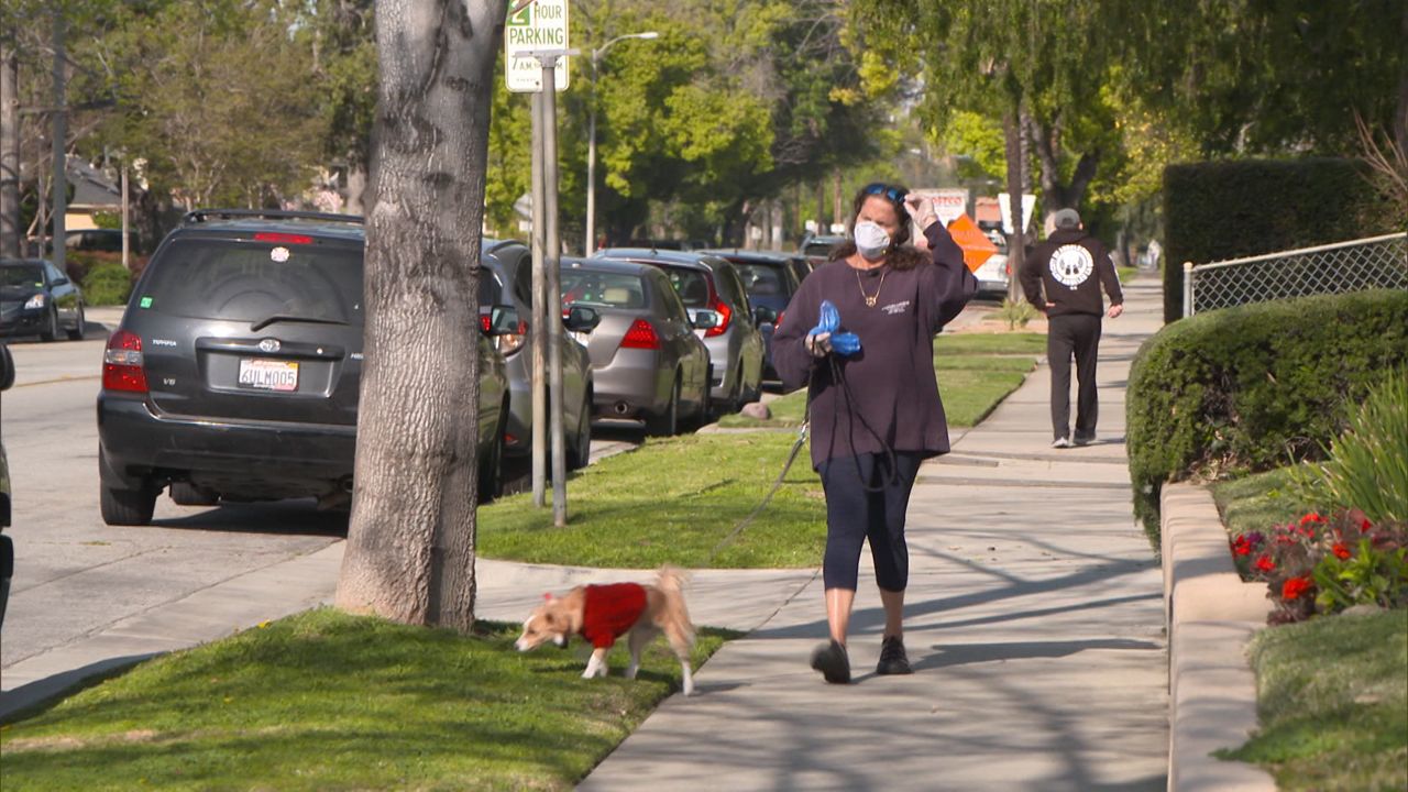 Dog Walker Feels The Bite Of Coronavirus