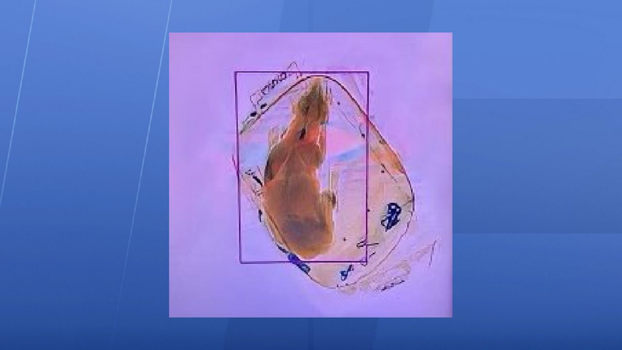 TSA finds dog in backpack during security screening