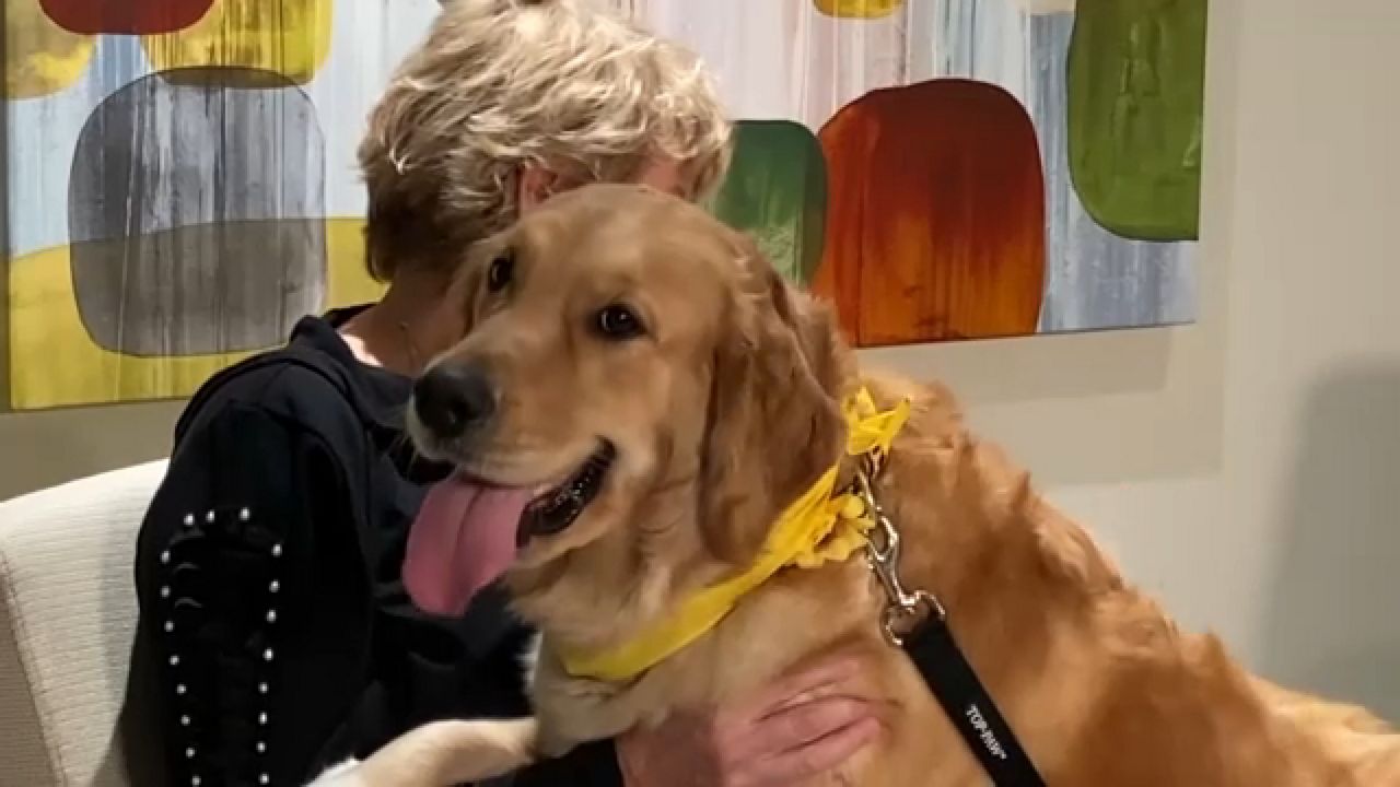 Buffalo health services provider trains therapy dogs