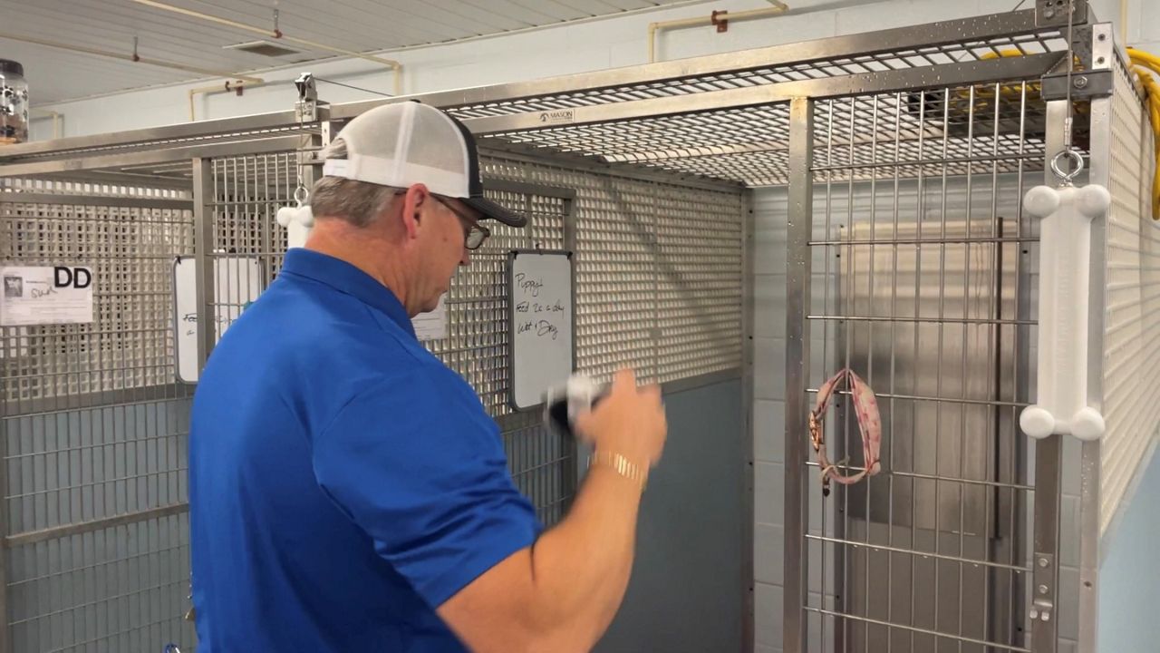 Chad Singleton cleaning dog kennel (Spectrum News 1/Alex Wilkinson)