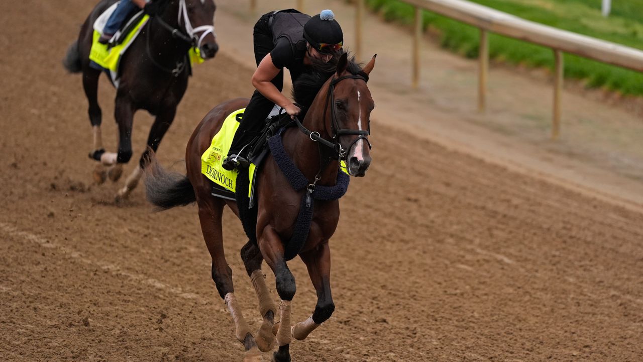 Dornoch pulls off upset, wins the first Belmont Stakes run at Saratoga Race Course at 17-1