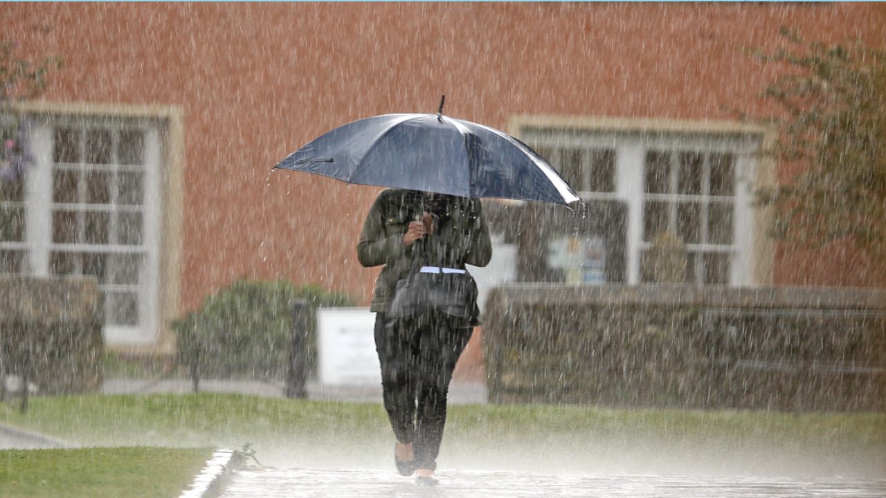 Rain for the western half of North Carolina Sunday.
