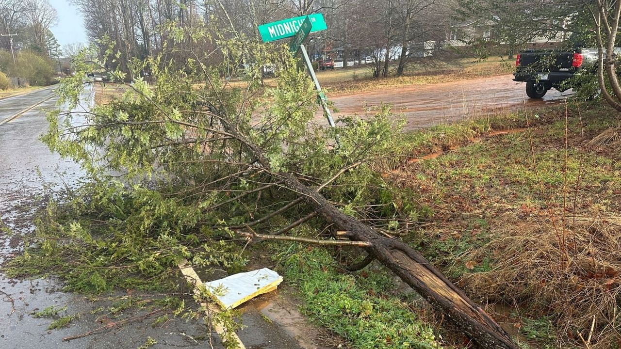 Storms brought down a tree on Old Catawba Road in Gaston County (Spectrum News 1/Jennifer Roberts)